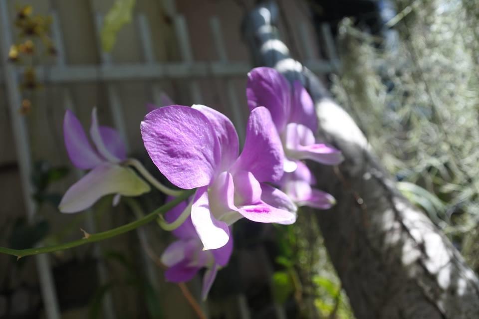 Baannueng@Kathu Hotel Phuket Bagian luar foto